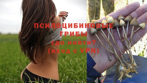 дживик Вязники
