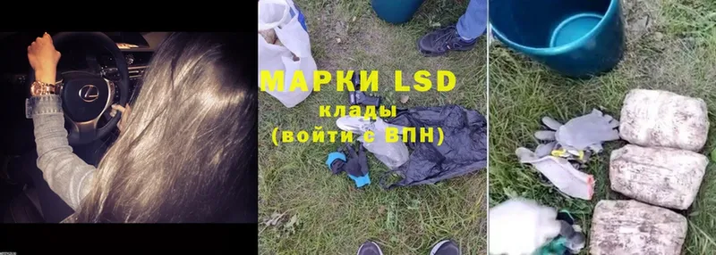 LSD-25 экстази ecstasy  наркошоп  Трубчевск 