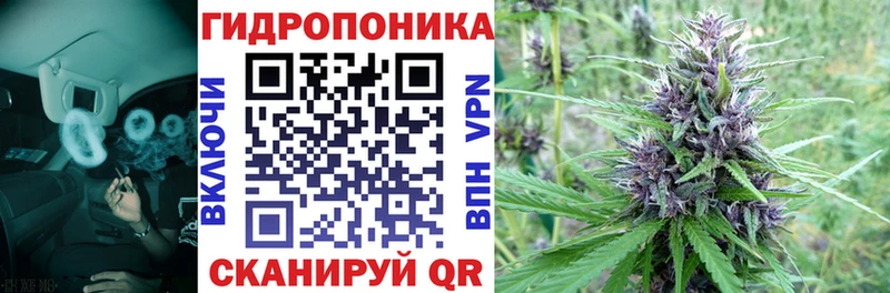 Каннабис гибрид  Трубчевск 